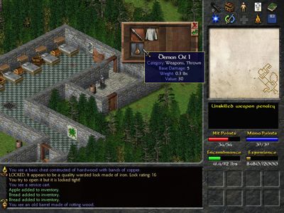 eschalon_beta_10.jpg