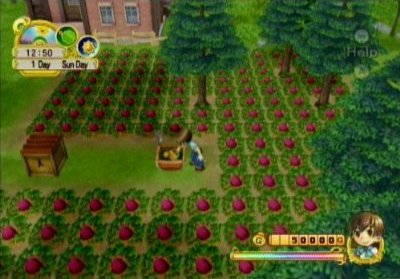 harvest moon tree of tranquility wikia